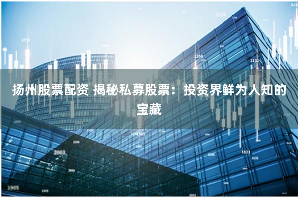 扬州股票配资 揭秘私募股票：投资界鲜为人知的宝藏