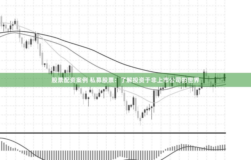 股票配资案例 私募股票：了解投资于非上市公司的世界
